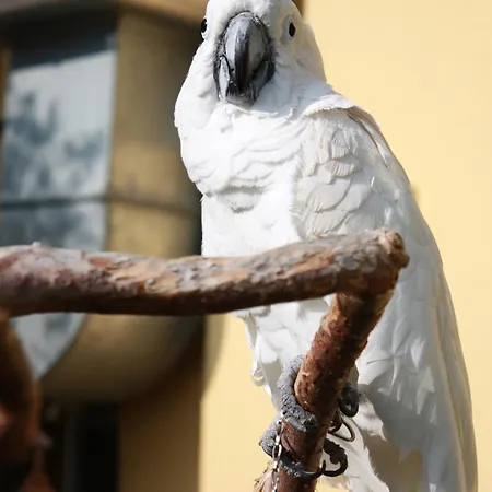 Seehalde 2* Nonnenhorn