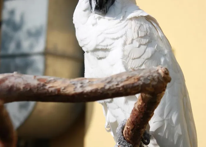 Seehalde 2* Nonnenhorn